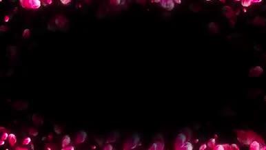 浪漫唯美玫瑰花瓣边框视频的预览图